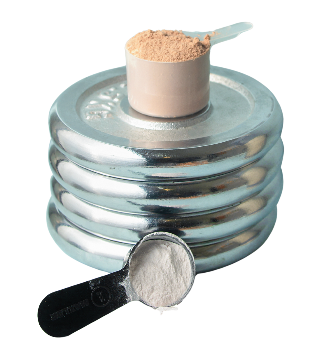 Whey Protein Hydrolysate